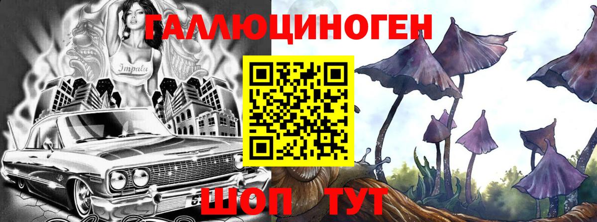 Углич  Галлюциногенные грибы MAGIC MUSHROOMS  Вход с VPN  Псилоцибиновые грибы прущие грибы 